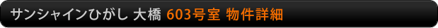 サンシャインひがし大橋　603号室物件詳細