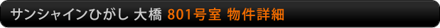 サンシャインひがし大橋　801号室物件詳細